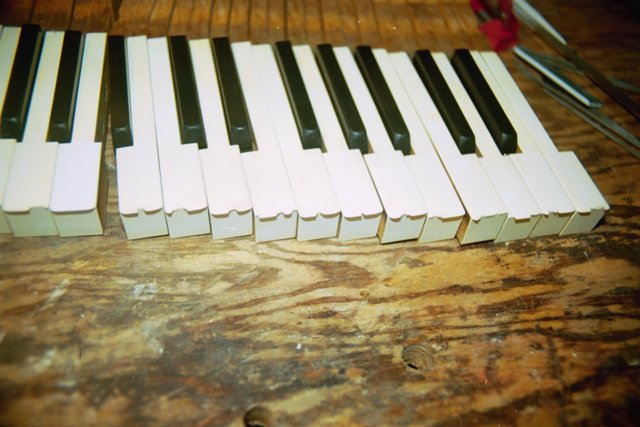 CHIPPED IVORIES